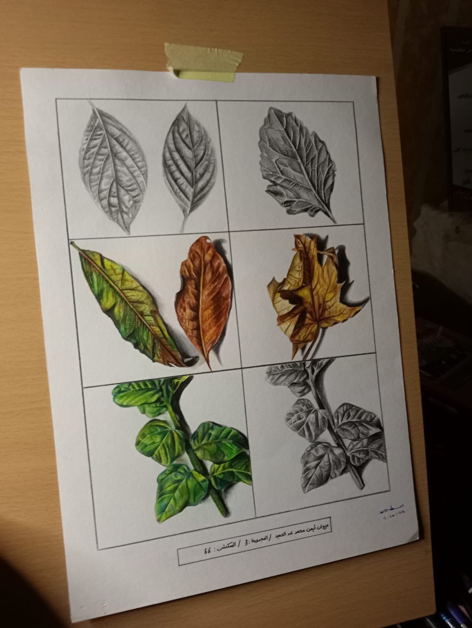 IMG 20251216 222907 009