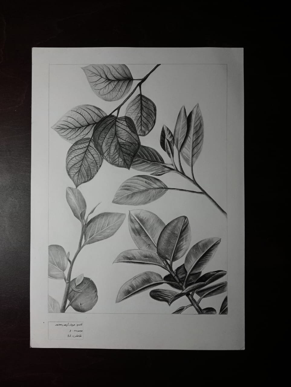 IMG 20251216 222913 272