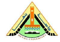 تعلن جامعة بنها عن حاجتها لشغل الوظائف القيادية بوظائف الإدارة العليا بالجامعة